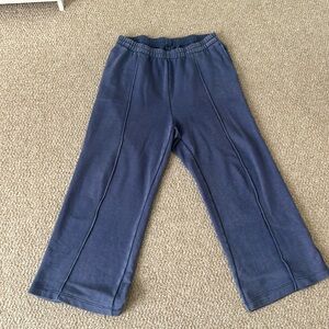Aerie skater-pant sweatpants (blue)